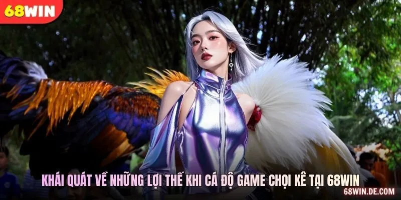 Khái quát về những lợi thế khi cá độ game chọi kê tại 68WIN